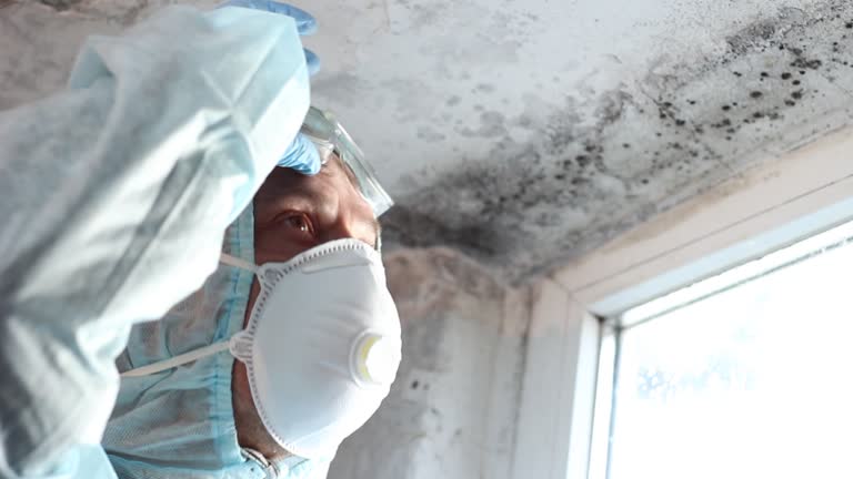 Mold Documentation for Insurance Claims in Wilmington Manor, DE